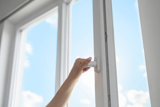 Professional Windows in Springerville, AZ